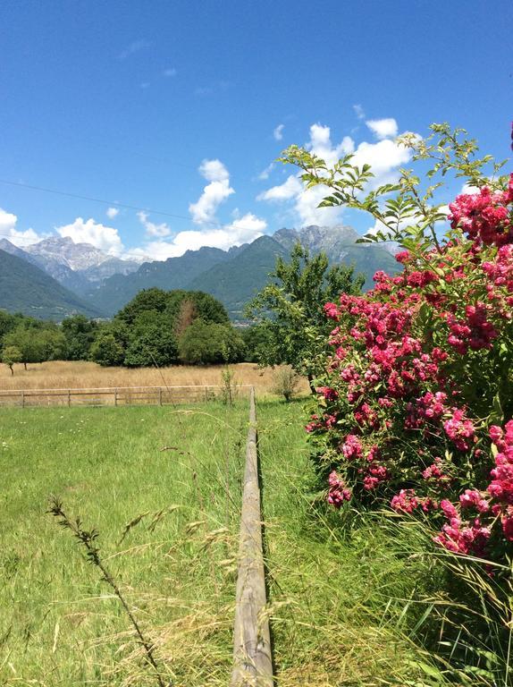 Il Mondo Roverso Feltre Exterior photo